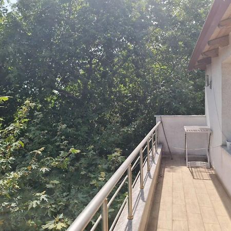 Penthahouse Shallvare Tiran Dış mekan fotoğraf