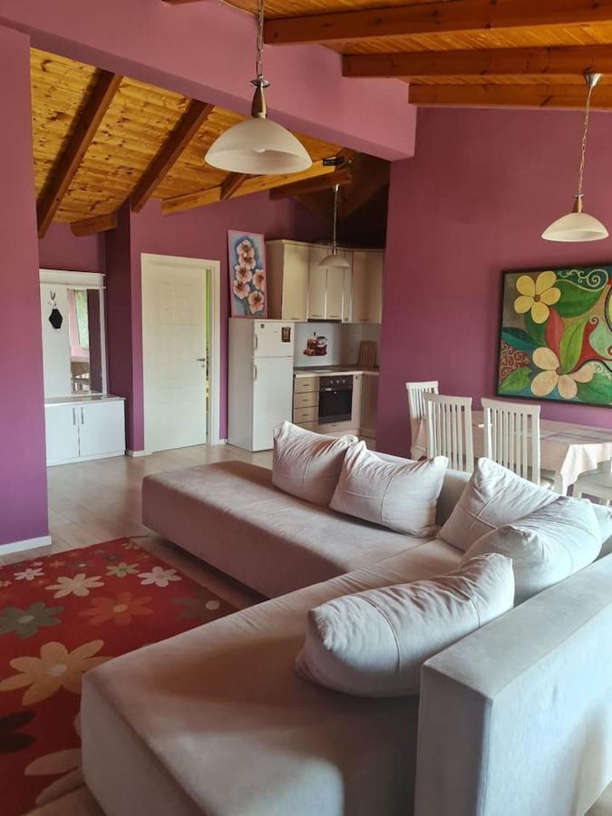 Penthahouse Shallvare Tiran Dış mekan fotoğraf